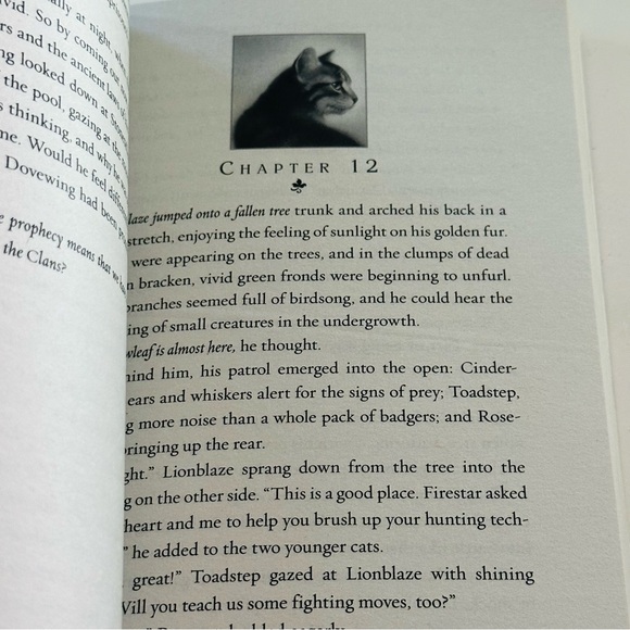 Warriors Sign of the Moon Paperback Chapter Book YA Fantasy Fiction Novel - Picture 3 of 4